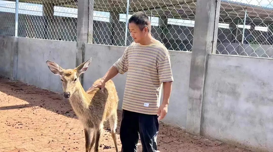 菠菜导航总站